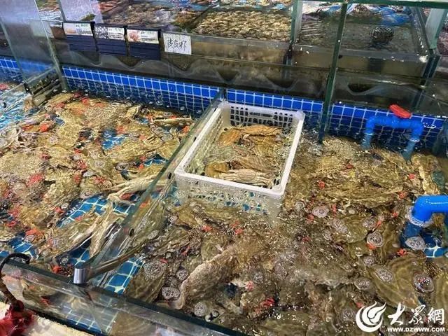 懵了！等了快一个月，反而越来越贵，比去年上涨50%……
