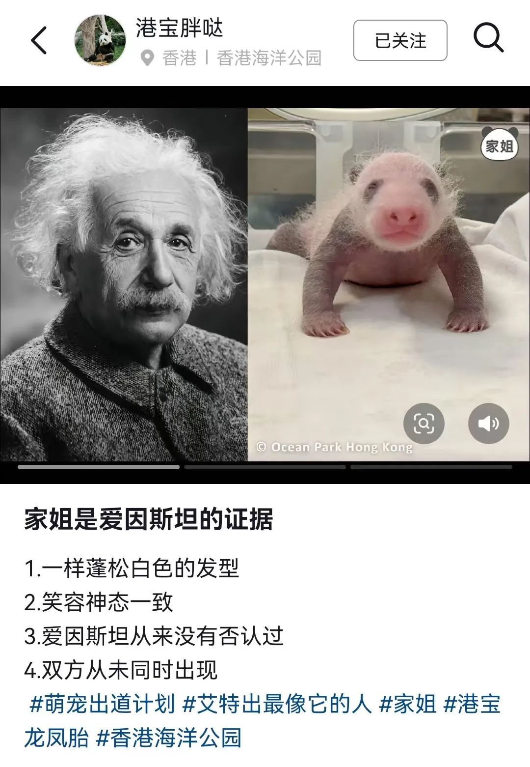 香港的大熊猫宝宝，向你“喊话”
