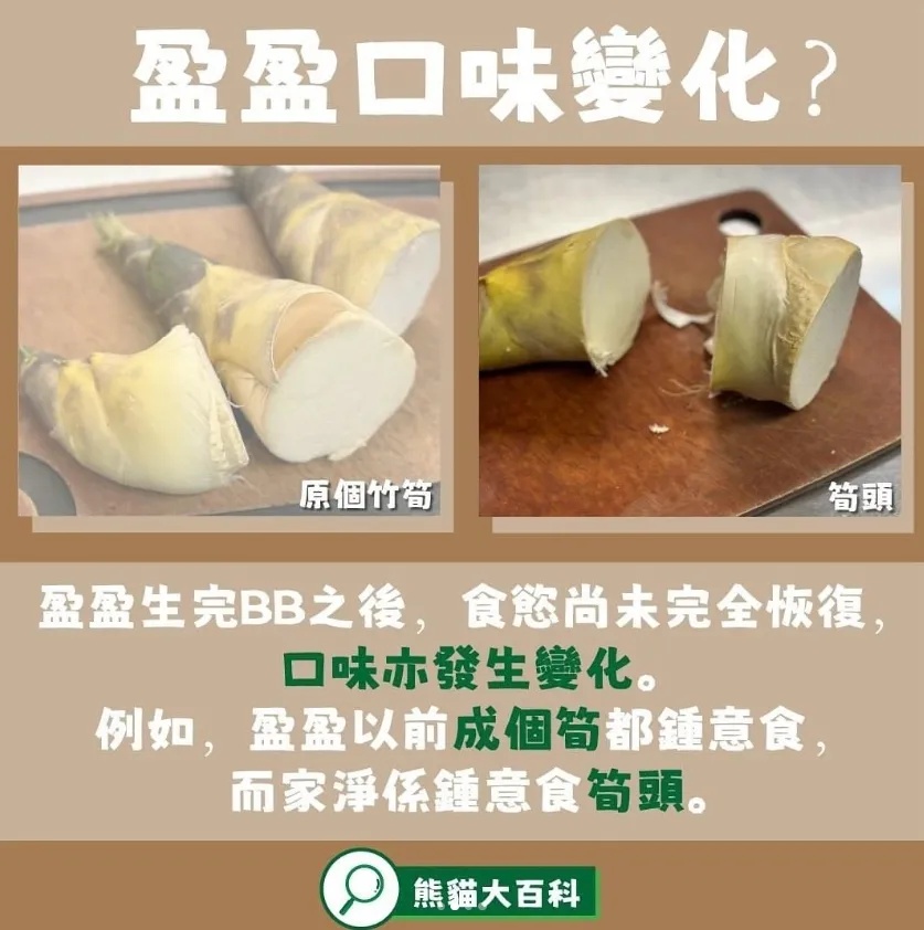 香港的大熊猫宝宝，向你“喊话”
