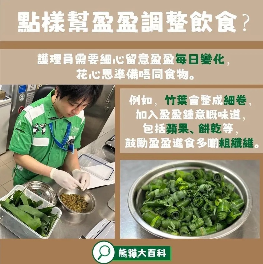 香港的大熊猫宝宝，向你“喊话”
