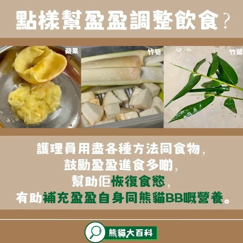 香港的大熊猫宝宝，向你“喊话”