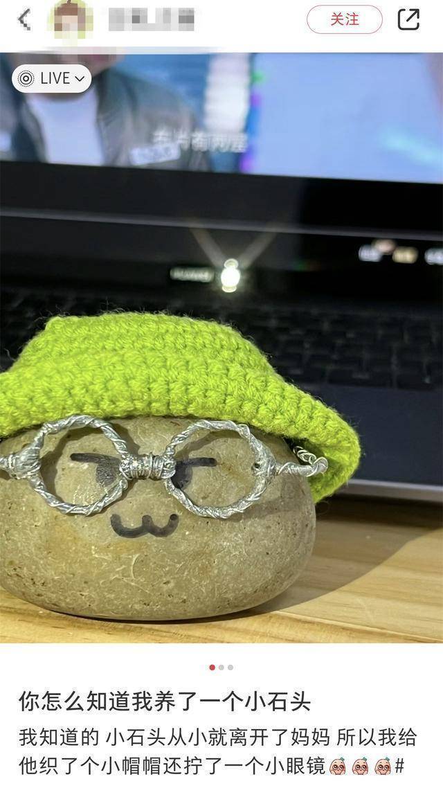 猫狗不香了?这届年轻人开始养宠物石头了!网友:不会吵闹,性价比高 猫狗不香了?这届年轻人开始养宠物石头了!网友:不会吵闹,性价比高