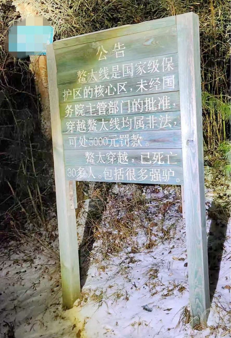 几乎每年都有人死亡!驴友违规穿越鳌太线被罚3000元 几乎每年都有人死亡!驴友违规穿越鳌太线被罚3000元