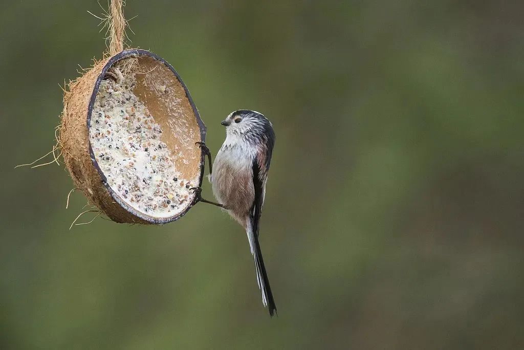 今日白露 | 秋实而美,露凝而白 今日白露 | 秋实而美,露凝而白