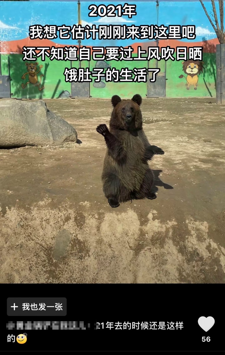 动物园内动物瘦骨嶙峋? 多方回应! 网友心痛: 第一次见到… 动物园内动物瘦骨嶙峋? 多方回应! 网友心痛: 第一次见到…