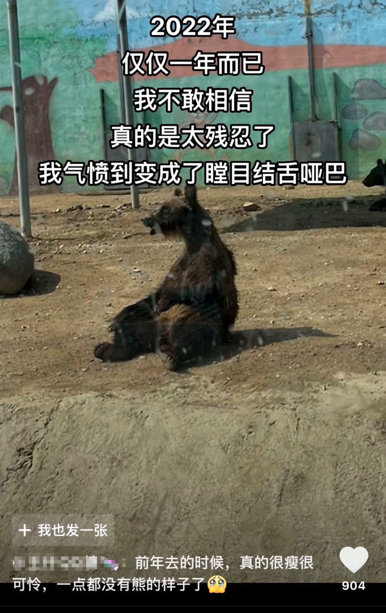 动物园内动物瘦骨嶙峋? 多方回应! 网友心痛: 第一次见到… 动物园内动物瘦骨嶙峋? 多方回应! 网友心痛: 第一次见到…