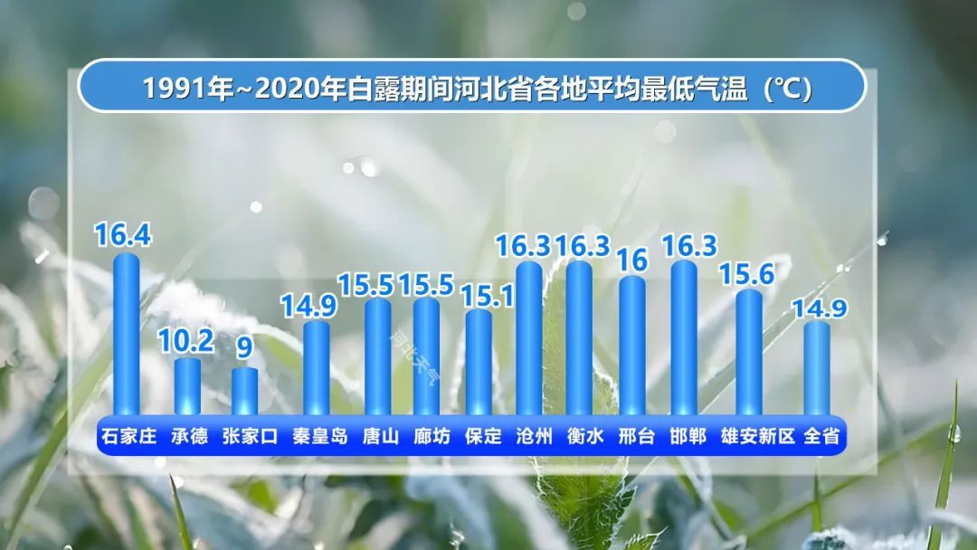 白露来了!河北再迎降雨!局地中雨! 白露来了!河北再迎降雨!局地中雨!