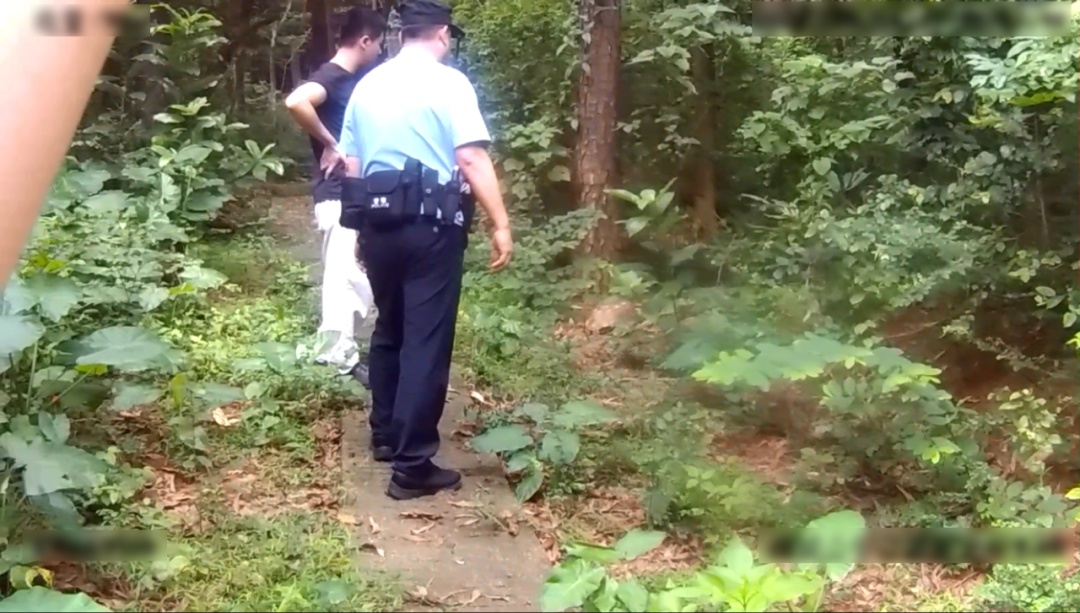 “巨型乌龟”在禅城出没，身份不简单！