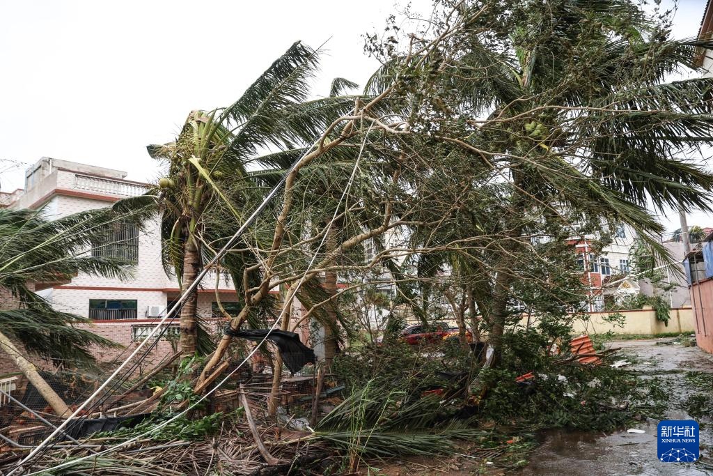 海南:台风“摩羯”登陆一线见闻 海南:台风“摩羯”登陆一线见闻