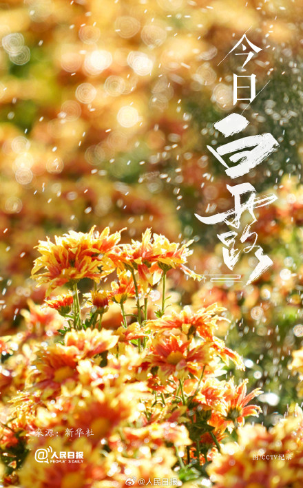 今天是白露，秋风至此凉