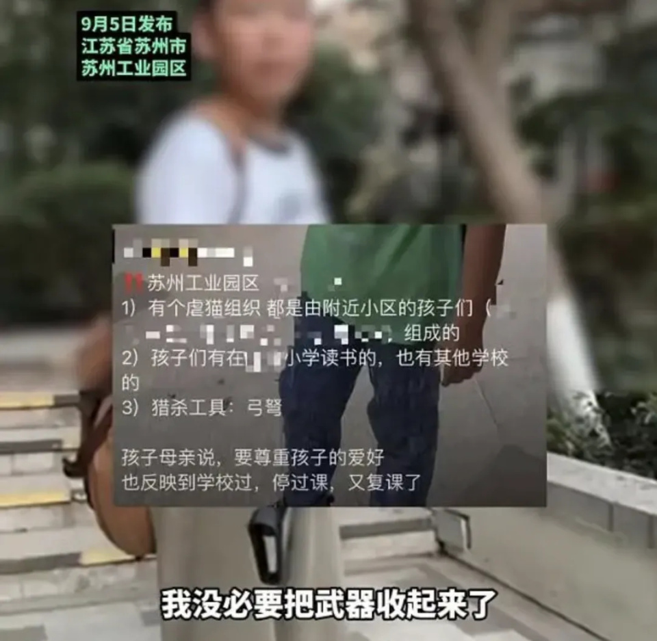 男孩自曝以杀猫为傲？官方通报！专家解释其心理原因