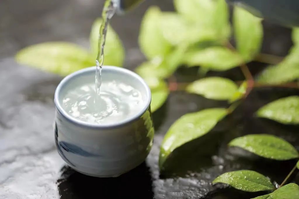 今日白露 | 秋实而美,露凝而白 今日白露 | 秋实而美,露凝而白