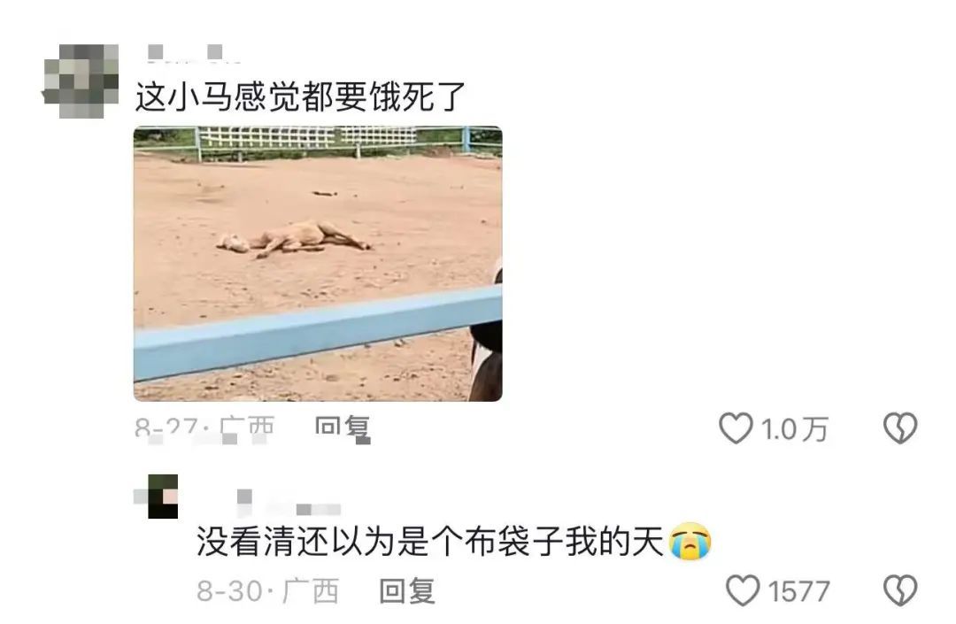 动物园内动物瘦骨嶙峋? 多方回应! 网友心痛: 第一次见到… 动物园内动物瘦骨嶙峋? 多方回应! 网友心痛: 第一次见到…