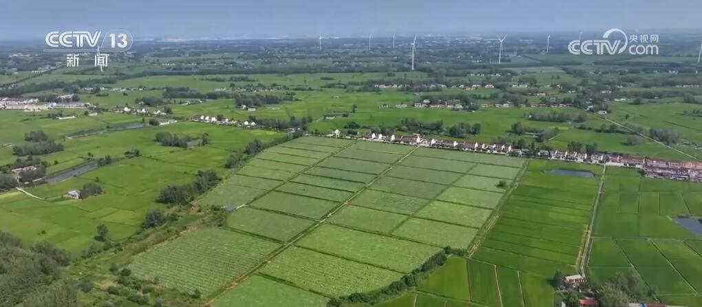 稻谷黄、瓜果香 硕果累累迎金秋 田野如画好“丰”光 稻谷黄、瓜果香 硕果累累迎金秋 田野如画好“丰”光