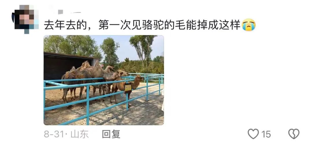 动物园内动物瘦骨嶙峋? 多方回应! 网友心痛: 第一次见到… 动物园内动物瘦骨嶙峋? 多方回应! 网友心痛: 第一次见到…