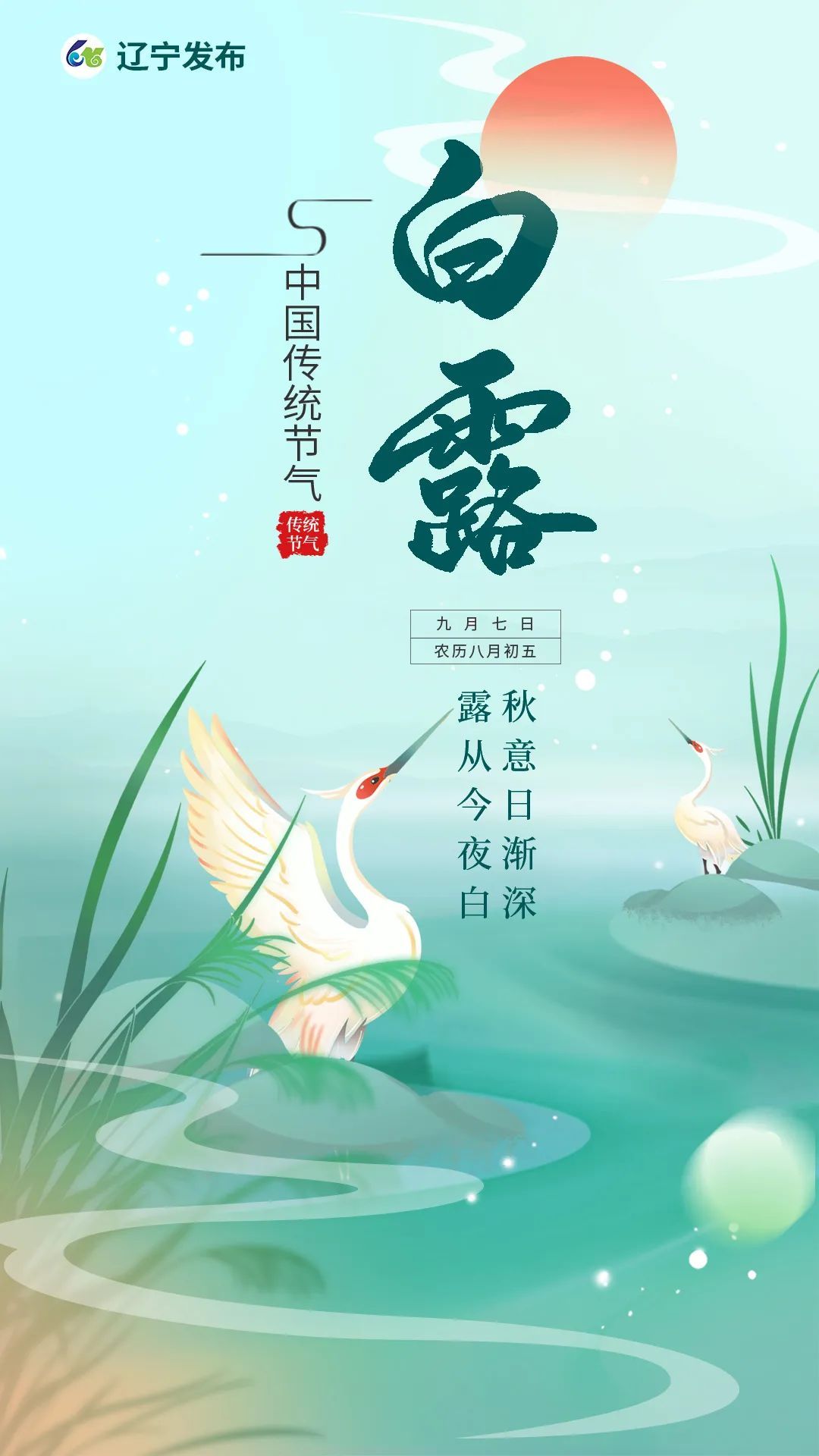 今日白露 | 秋实而美,露凝而白 今日白露 | 秋实而美,露凝而白