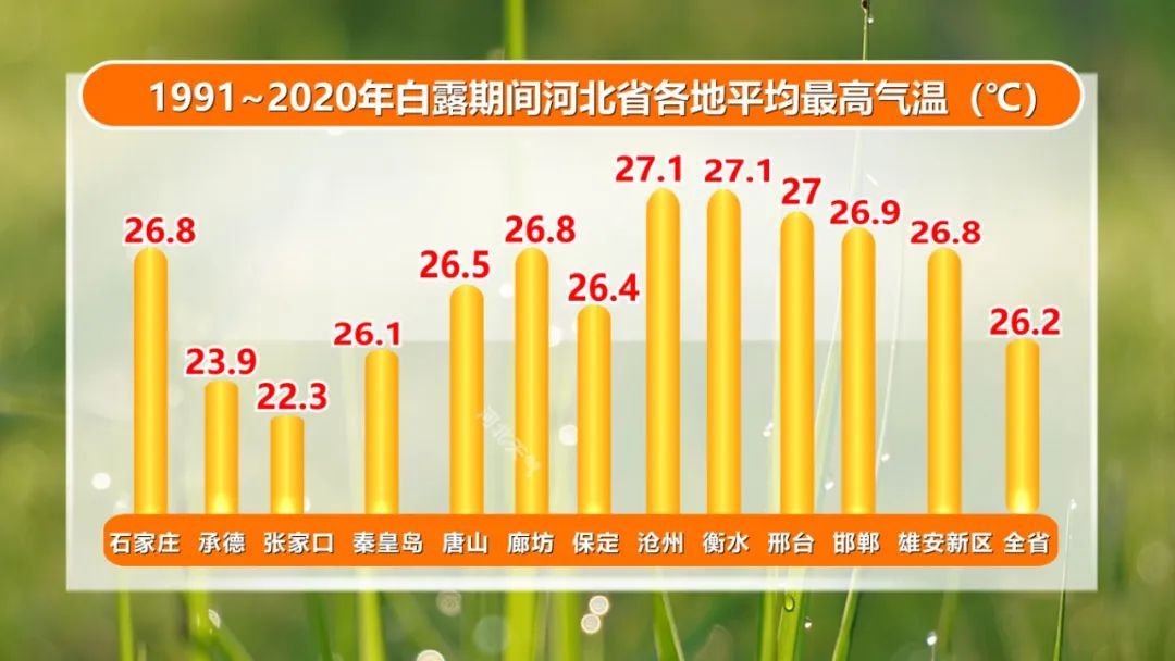 白露来了!河北再迎降雨!局地中雨! 白露来了!河北再迎降雨!局地中雨!