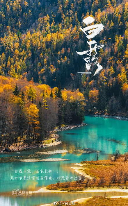 今天是白露，秋风至此凉