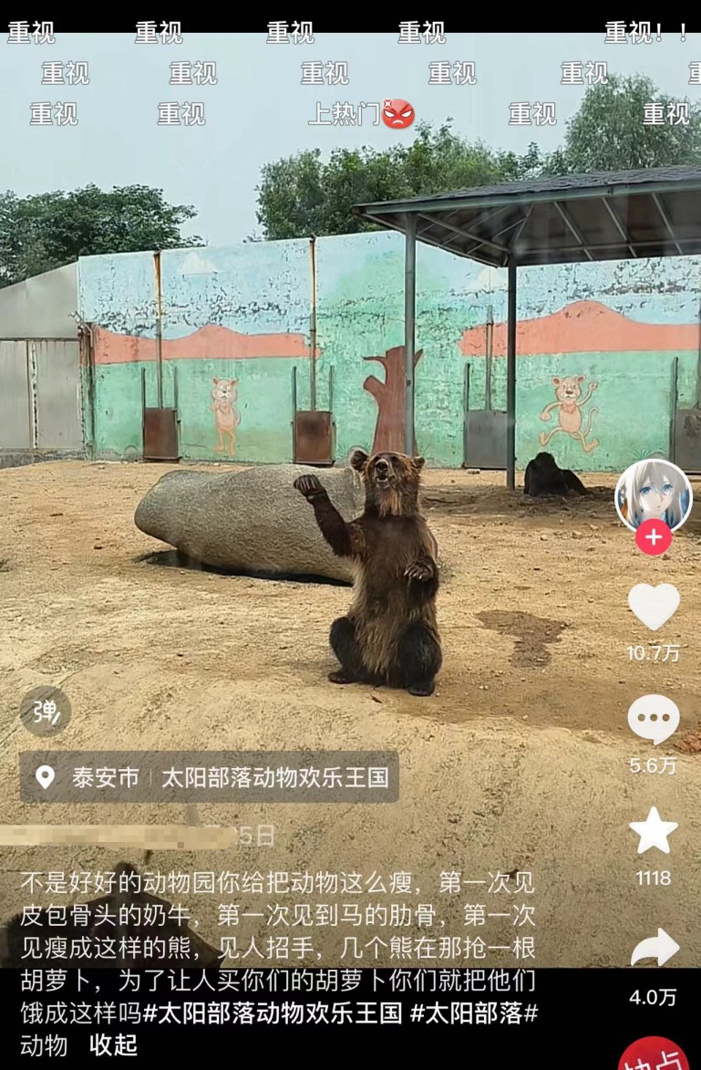 动物园内动物瘦骨嶙峋? 多方回应! 网友心痛: 第一次见到… 动物园内动物瘦骨嶙峋? 多方回应! 网友心痛: 第一次见到…