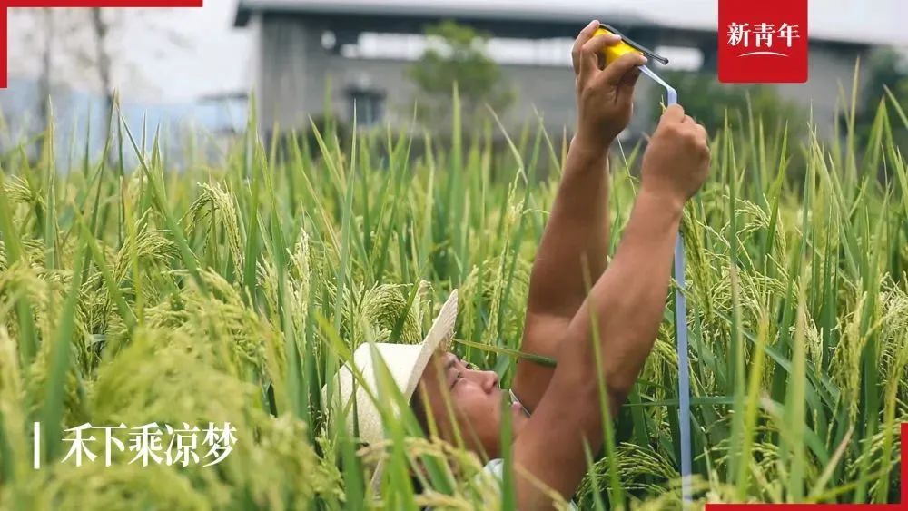 今天，沿途吊唁他！