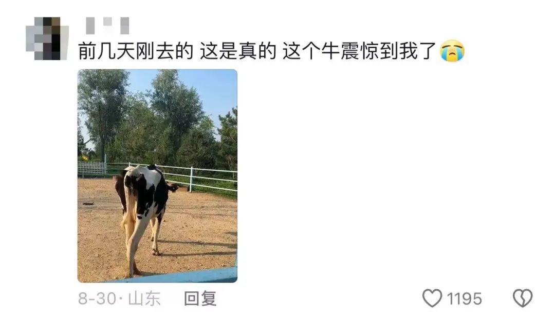 动物园内动物瘦骨嶙峋? 多方回应! 网友心痛: 第一次见到… 动物园内动物瘦骨嶙峋? 多方回应! 网友心痛: 第一次见到…