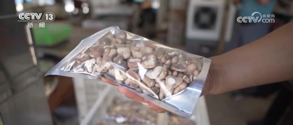 稻谷黄、瓜果香 硕果累累迎金秋 田野如画好“丰”光 稻谷黄、瓜果香 硕果累累迎金秋 田野如画好“丰”光