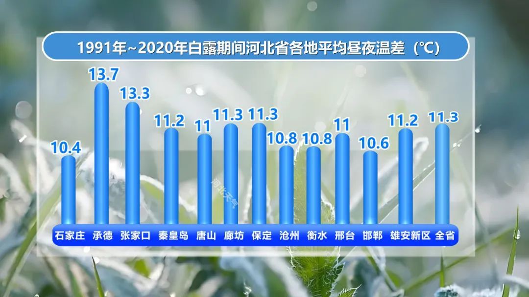 白露来了!河北再迎降雨!局地中雨! 白露来了!河北再迎降雨!局地中雨!