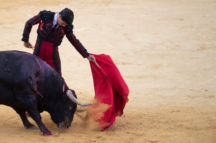 西班牙正式废除国家斗牛奖