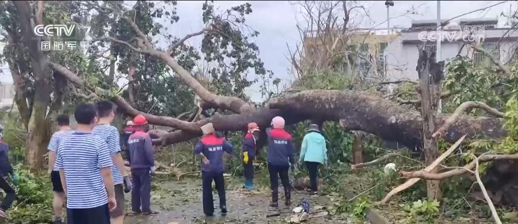 疏通道路、转移群众、灾后重建……抗击台风,人民子弟兵来了! 疏通道路、转移群众、灾后重建……抗击台风,人民子弟兵来了!