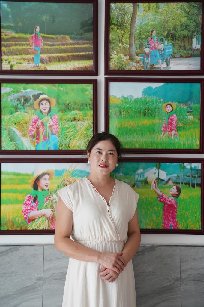 世界灌溉工程遗产凤堰梯田迎来收获季