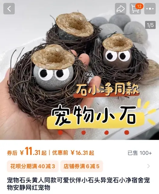 不会掉毛、不会拉屎、不会闯祸，年轻人开始养宠物石头了
