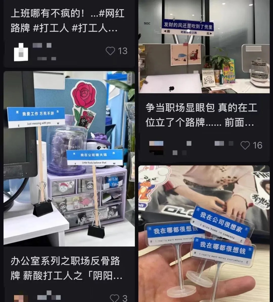不会掉毛、不会拉屎、不会闯祸，年轻人开始养宠物石头了