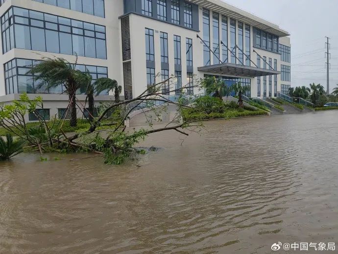 台风“摩羯”成为登陆我国最强秋台风！多位专家权威解读