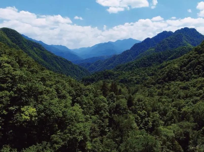 陕西多家景区推出教师节优惠活动