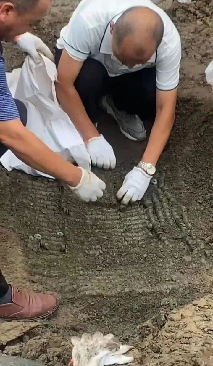 罕见!地里挖出“三四千斤”古钱币,紧急抢救、封存 罕见!地里挖出“三四千斤”古钱币,紧急抢救、封存