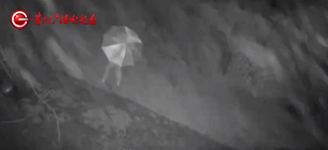 贵州多户人家酒席刚办完，礼金就不翼而飞！警方锁定神秘“紫雨伞”……