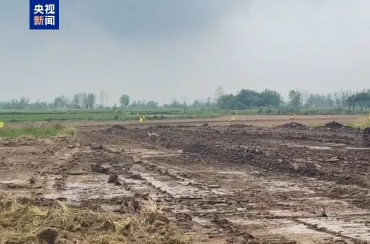 罕见!地里挖出“三四千斤”古钱币,紧急抢救、封存 罕见!地里挖出“三四千斤”古钱币,紧急抢救、封存