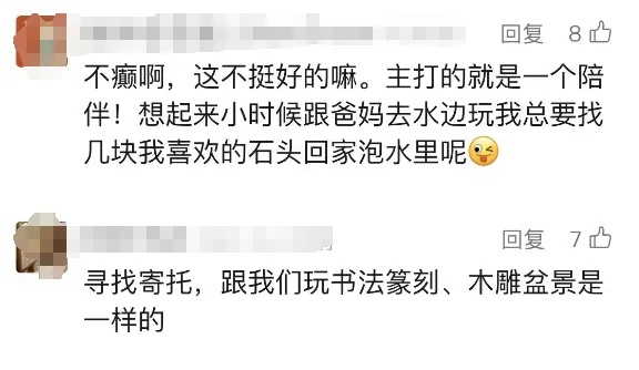 不会掉毛、不会拉屎、不会闯祸，年轻人开始养宠物石头了