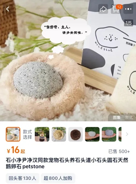 不会掉毛、不会拉屎、不会闯祸，年轻人开始养宠物石头了