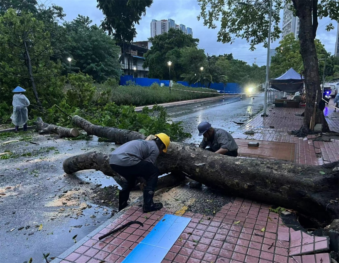 事关防汛防台风响应、防台风紧急措施，广西四地最新调整！