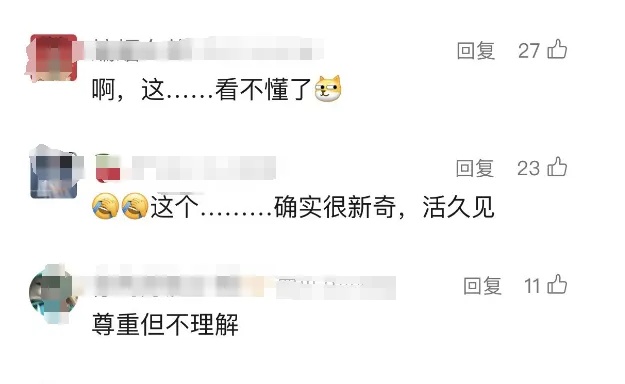 不会掉毛、不会拉屎、不会闯祸，年轻人开始养宠物石头了