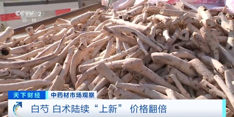 “食白季”到来！这种药材，价格暴涨超200%！啥情况？