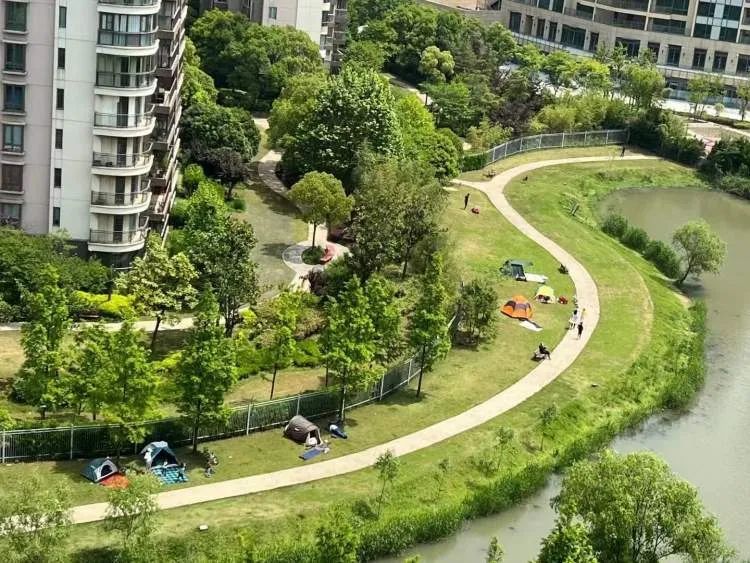 你们停车难?这里停船难!居民在上海这个小区河道“野划”玩嗨 你们停车难?这里停船难!居民在上海这个小区河道“野划”玩嗨