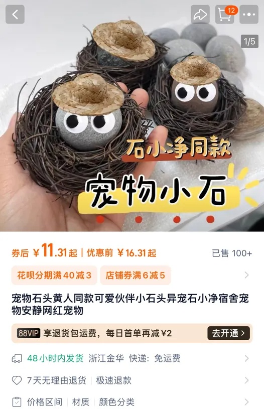 你敢信？有人养石头当宠物！暴增246%！有店主月入过万……