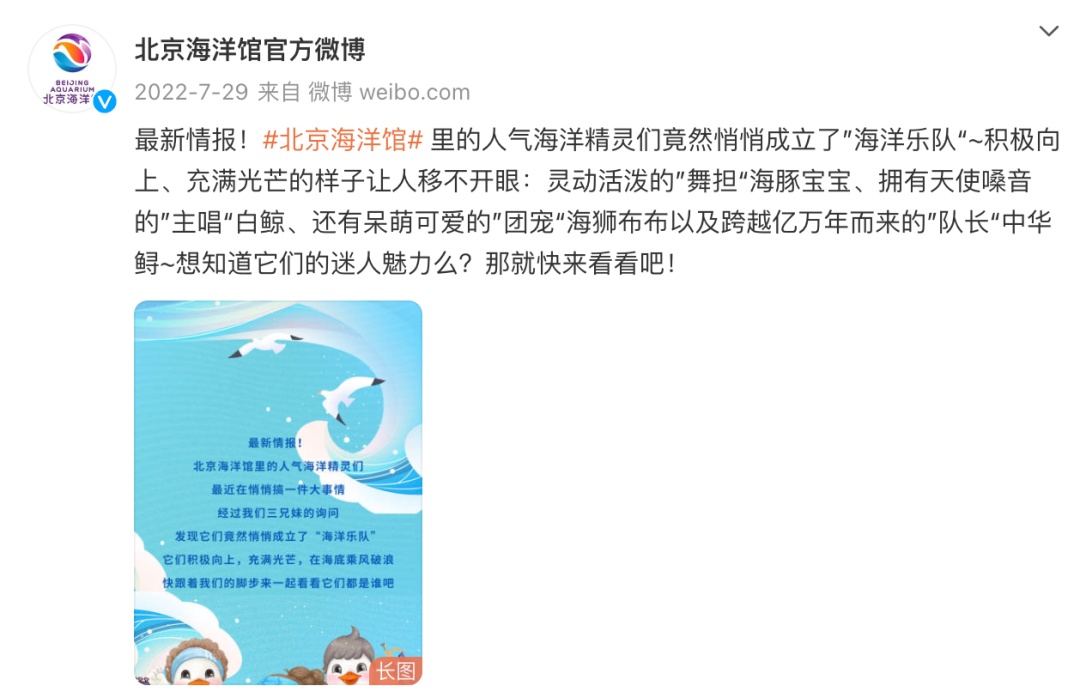 北京海洋馆的白鲸持续尖叫?官方回应! 北京海洋馆的白鲸持续尖叫?官方回应!