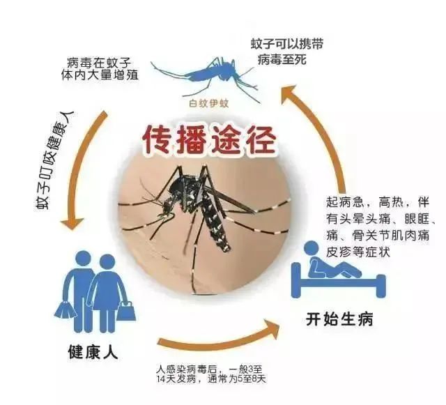 进入高发季节！涉深圳9个区域……疾控中心提醒