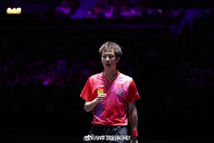 祝贺！4位国乒选手均晋级16强