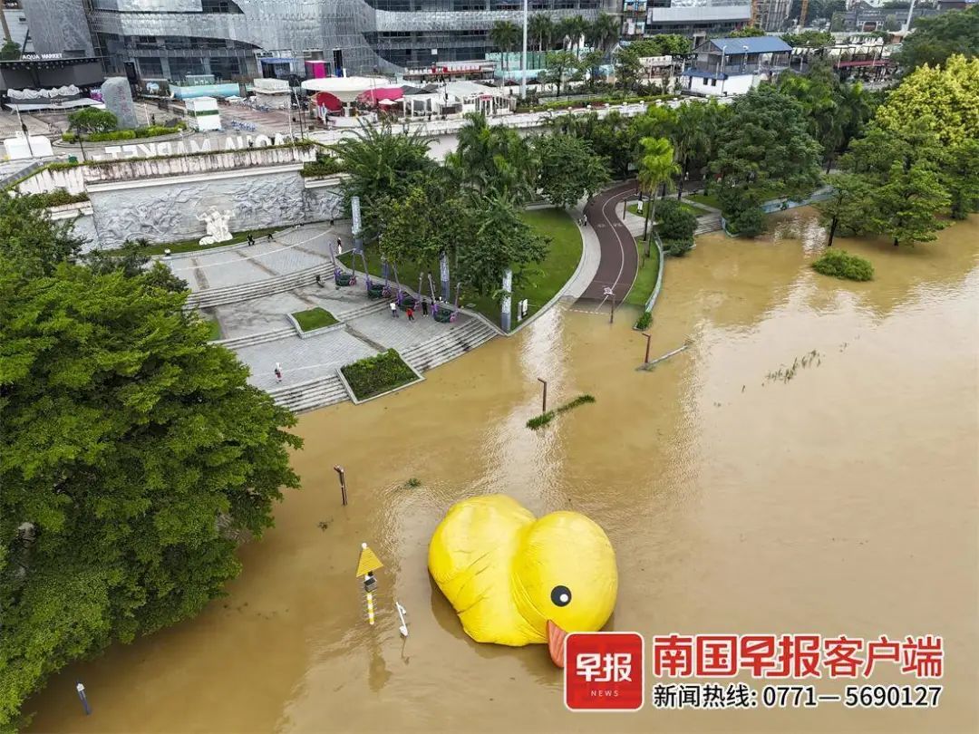 南宁多个河段将出现超警洪水！