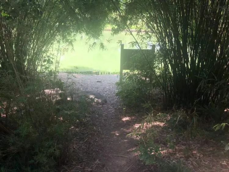 你们停车难?这里停船难!居民在上海这个小区河道“野划”玩嗨 你们停车难?这里停船难!居民在上海这个小区河道“野划”玩嗨