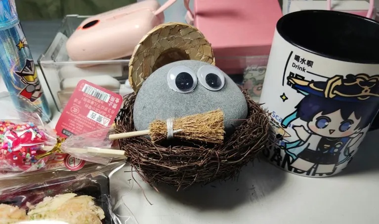 你敢信？有人养石头当宠物！暴增246%！有店主月入过万……